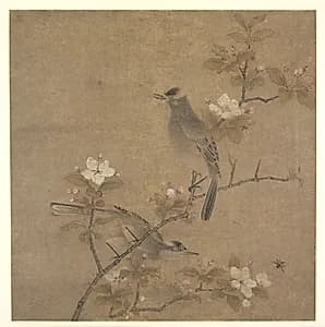 Flowers and Birds