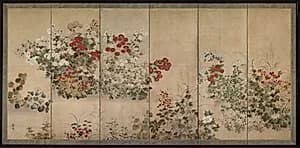 Flowers and Grasses