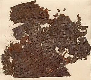 Fragment by Unknown Artist