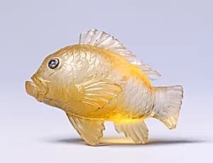 Goldfish