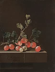 Gooseberries on a Table by Adriaen Coorte (Dutch, 1660–1707)