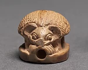 Hedgehog by Unknown Artist