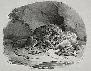 Horse Devoured by a Lion by Théodore Géricault (French, 1791–1824)