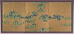 Irises by Watanabe Shikō (Japanese, 1683–1755)