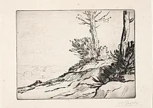 La butte aux broussailles by Alphonse Legros (French, 1837–1911)