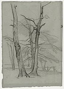 Landscape Study with Trees by Thomas Couture (French, 1815–1879)