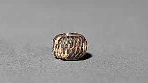 Miniature Basket by Unknown Artist