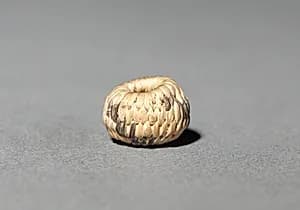 Miniature Basket by Unknown Artist