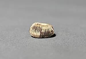Miniature Round Basket by Unknown Artist