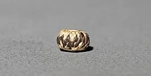 Miniature Round Basket by Unknown Artist