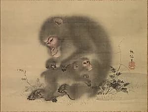 Monkeys