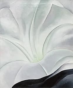 Morning Glory with Black by Georgia O'Keeffe (American, 1887–1986)
