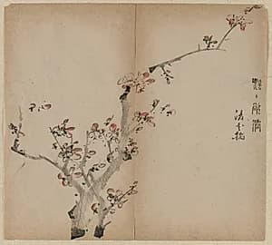 Peach Blossoms by Unknown Artist