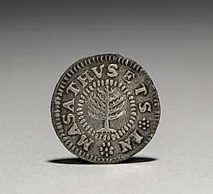 Pine Tree Shilling (obverse)