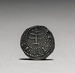 Pine Tree Sixpence (obverse)