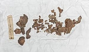 Relic of St. Bartholomew by Unknown Artist