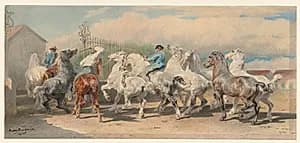 Portrait of Rosa Bonheur (French, 1822–1899)