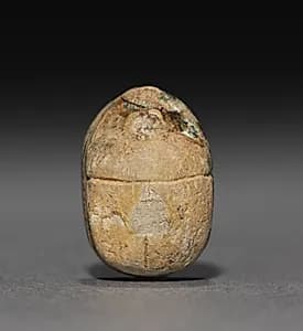 Scarab by Unknown Artist