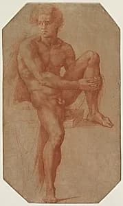 Seated Male Nude by Baccio Bandinelli (Italian, 1493–1560)