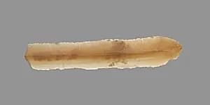 Sickle Blade by Unknown Artist