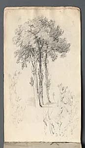 Sketchbook: Tree Study by Samuel Prout (British, 1783–1852)
