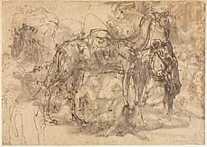 Sketches of Animals (verso) by Perino del Vaga (Italian, 1501–1547)