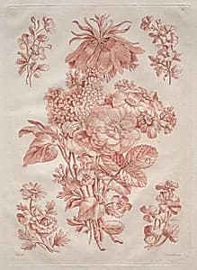 Spray of Flowers by L. F. Duruisseau (French, born 1754)