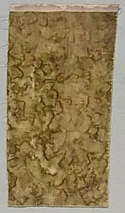 Stencilled Velvet
