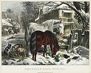 Straw-yard, Winter