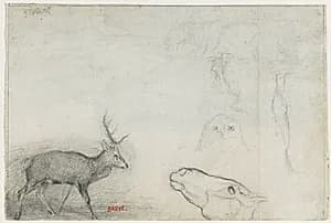 Studies of Animals (verso) by Antoine-Louis Barye (French, 1796–1875)