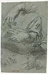 Studies of Hands (recto) by Carletto Caliari (Italian, 1570–1596)