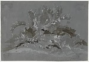 Study of Weeds by Jean Antoine Linck (Swiss, 1766–1843)