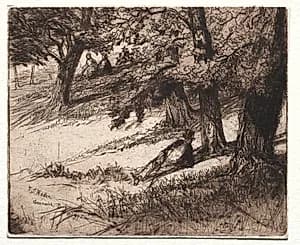 Sub Tegmine by Francis Seymour Haden (British, 1818–1910)