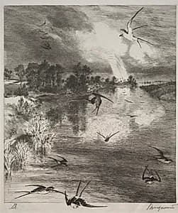 Swallows by Félix Bracquemond (French, 1833–1914)