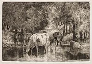 The Pool by Peter Moran (American, 1841–1914)