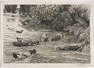 The Question Mark by Félix Bracquemond (French, 1833–1914)