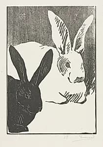 The Rabbits
