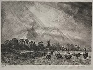 The Storm Cloud by Félix Bracquemond (French, 1833–1914)