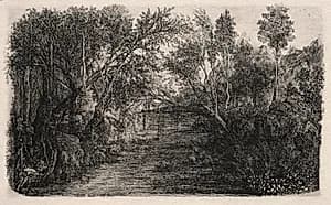 The Stream