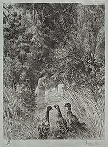 The Surprised Ducks by Félix Bracquemond (French, 1833–1914)