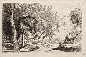 The Twisted Tree by Auguste Louis Lepère (French, 1849–1918)