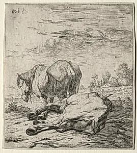 The Two Horses by Karel Dujardin (Dutch, c. 1622–1678)