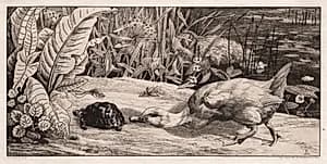 The Unknown by Félix Bracquemond (French, 1833–1914)