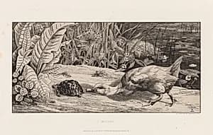 The Unknown (L'Inconnu) by Félix Bracquemond (French, 1833–1914)
