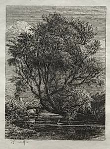 The Willow by Samuel Palmer (British, 1805–1881)