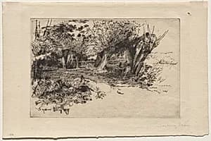 The Willows by Francis Seymour Haden (British, 1818–1910)