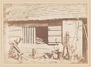 The Woodcutters