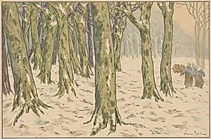 The Woods, Winter