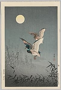 Tokyo Views: Ducks by Tsuchiya Kōitsu (Japanese, 1870–1949)