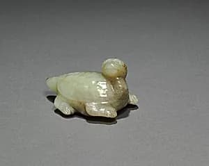 Tortoise by Unknown Artist